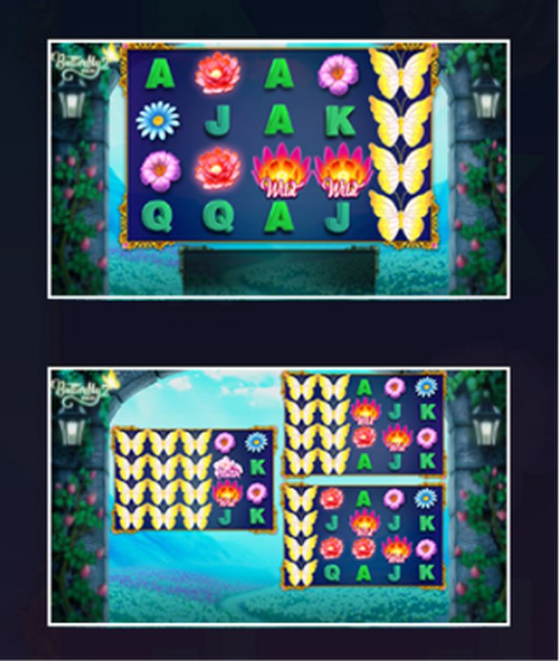 BUTTERFLY SPINS 